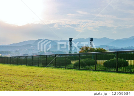 阪神競馬場 12959684