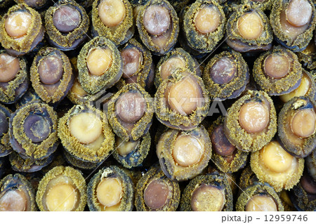 Dried abalone Dried abalone 12959746