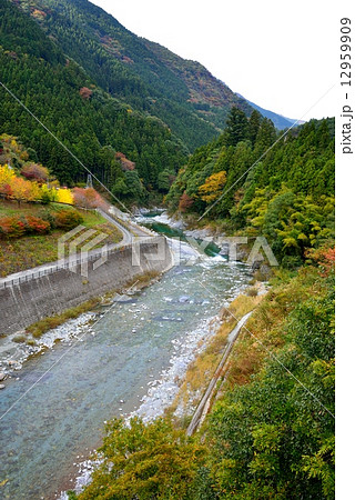 祖谷川 12959909
