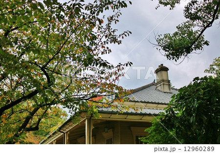 東山手甲十二番館 12960289