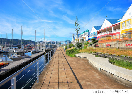 伊東マリンタウン 伊東マリンタウン 12960576