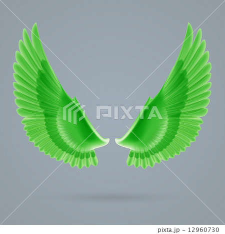 Inspire wings 12960730