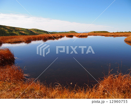 平ヶ岳の姫池 12960755