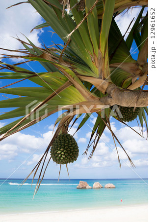 沖縄のビーチ・アラハビーチ 12961652