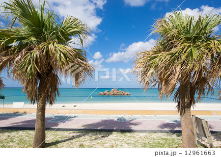 沖縄のビーチ・アラハビーチ 12961663