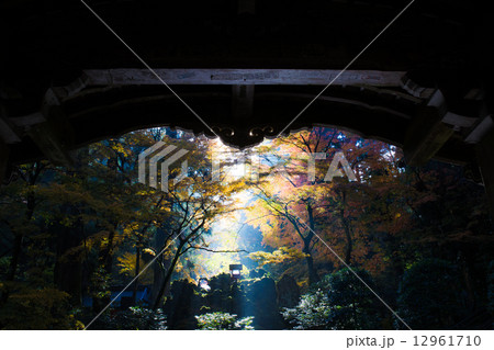 最乗寺の紅葉 最乗寺の紅葉 12961710