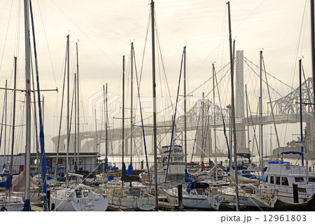 アメリカ　サンフランシスコ　ヨットハバーバー 12961803