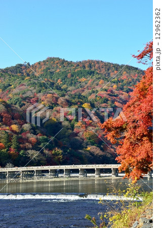 京都嵐山の紅葉　渡月橋 12962362