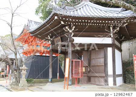 紀三井寺 12962467