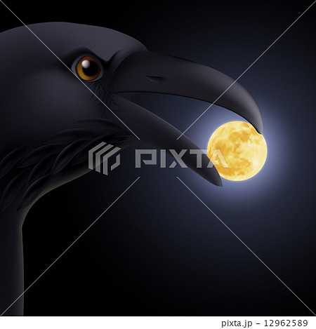 Black raven 12962589