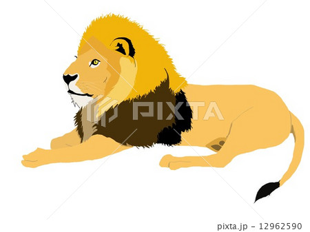 百獣の王 12962590