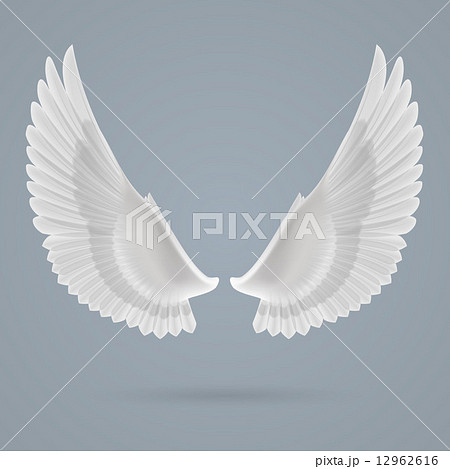 Inspire wings 12962616