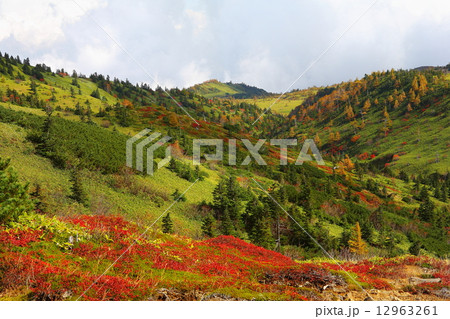山田峠紅葉 山田峠紅葉 12963261