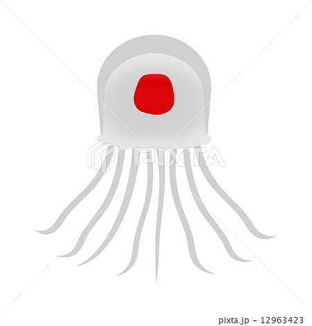 ベニクラゲ 12963423