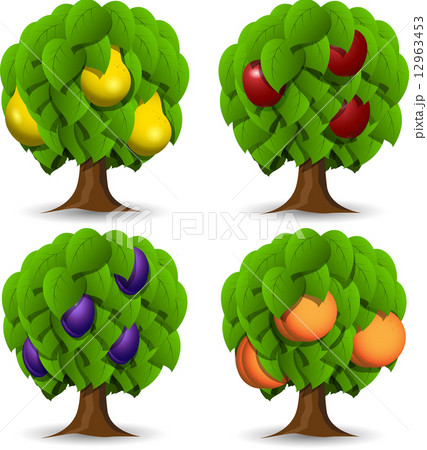 fruit trees fruit trees 12963453