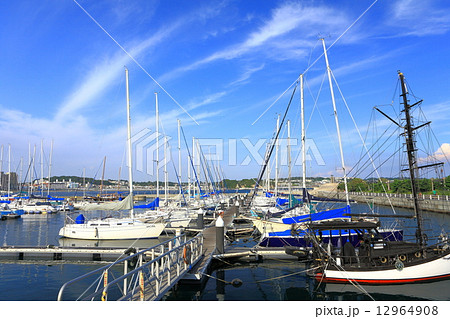 江の島ヨットハーバー 12964908