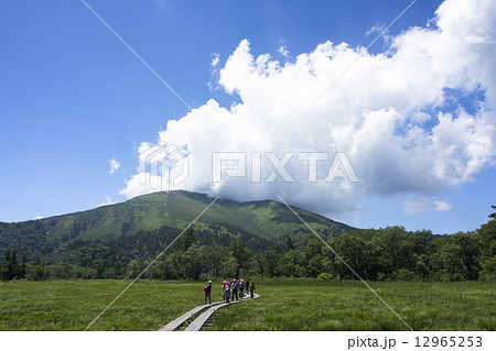 尾瀬散策４ 12965253