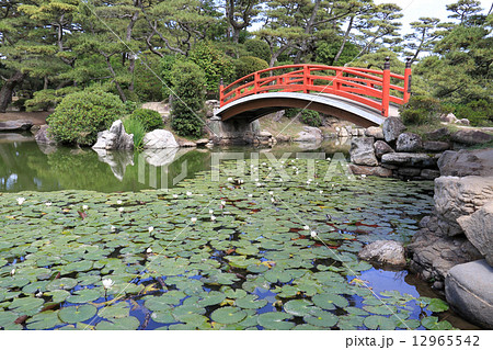 香川県丸亀市「中津万象園」（丸亀藩京極家の回遊式大名庭園） 12965542