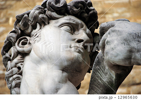Sculpture of David, Michelangelo, Florence, Italy 12965630