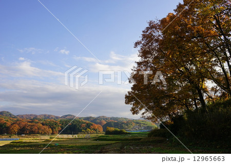 秋の田舎の風景・奇麗な空気 12965663
