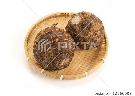 セレベス 12966008