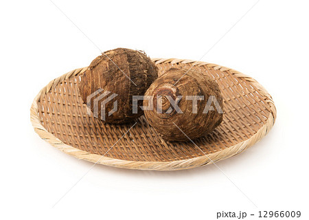 セレベス セレベス 12966009