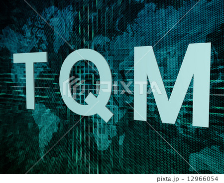 Total Quality Management 12966054