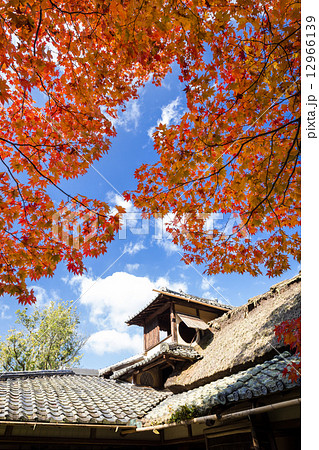 秋の詩仙堂 秋の詩仙堂 12966139