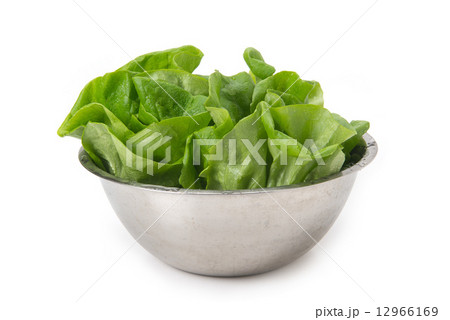 サラダ菜 12966169