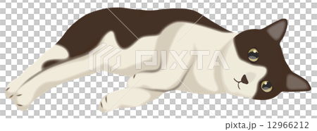 くつろぐ猫_56 12966212