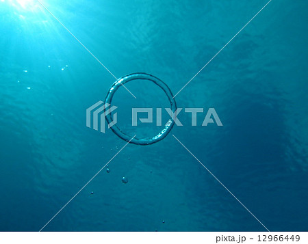 バブルリング バブルリング 12966449