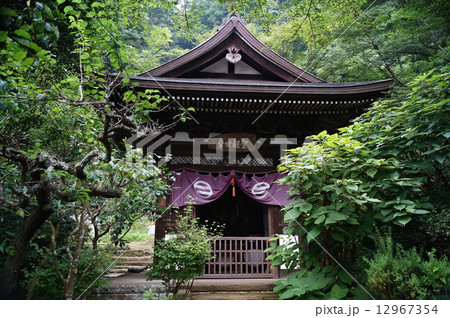 鎌倉五山　円覚寺　黄梅院 ・ 観音堂　（ 神奈川県 鎌倉市 山ノ内 ） 12967354