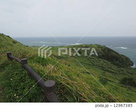 平久保崎の草原 12967385