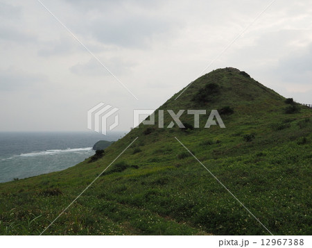 平久保崎からの眺め 12967388