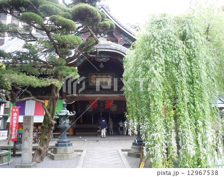 京都　紫雲山頂法寺　本堂 12967538