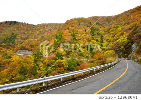 伊吹山 12968041