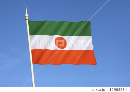 Flag of Niger 12968234