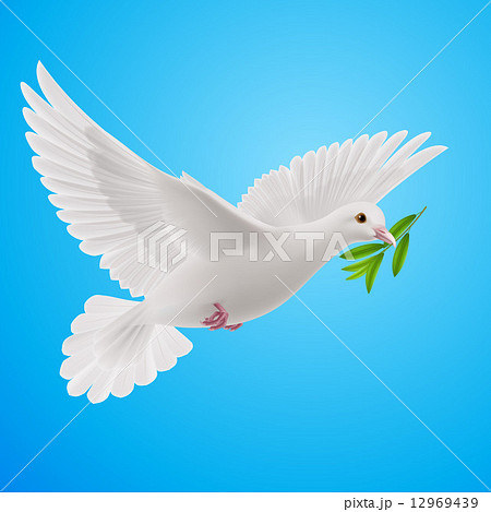 Fly Doveのイラスト素材