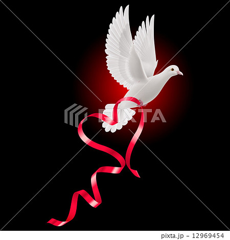 White dove with red ribbon 12969454
