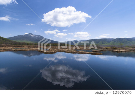 尾瀬の池塘4 尾瀬の池塘4 12970070