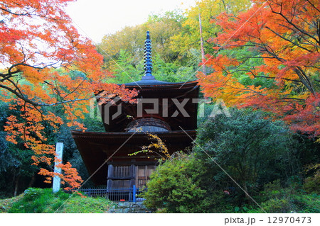 金鑽神社の多宝塔 12970473