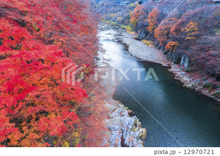 紅葉の綾戸渓谷4 紅葉の綾戸渓谷4 12970721