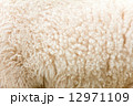 close up of lambswool texture  12971109