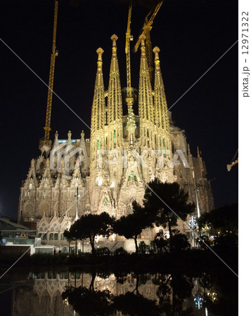 夜のファミリア 12971322