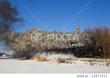 C11形蒸気機関車が重連で牽引する「SL冬の湿原号」 12971515