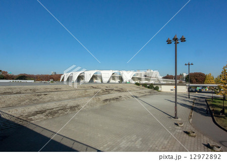 秋の駒沢公園 12972892