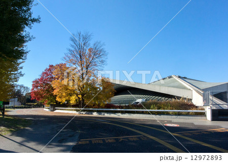 東京都、秋の駒沢公園 12972893