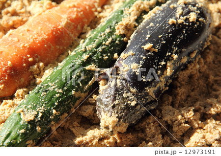 ぬか漬け 12973191