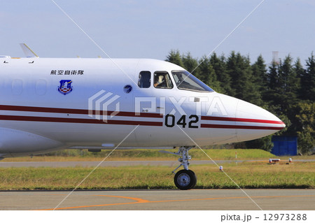 入間航空祭 12973288