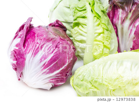 Radicchio and Baby Cos. Radicchio and Baby Cos. 12973838